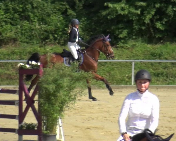 Reitturnier Ladenburg 2018