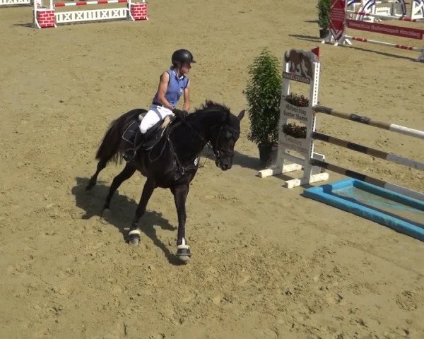Reitturnier Ladenburg 2018