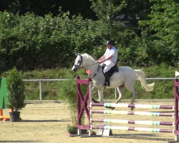 Reitturnier Ladenburg 2018