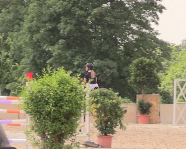 Reitturnier Oberfrauendorf 2018