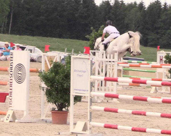 Reitturnier Oberfrauendorf 2018