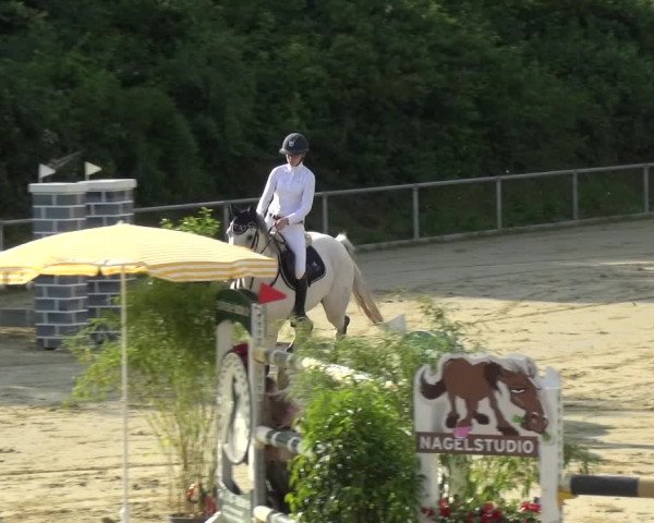 Reitturnier Ladenburg 2018
