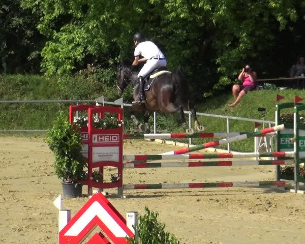 Reitturnier Ladenburg 2018