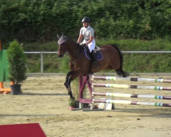 Reitturnier Ladenburg 2018