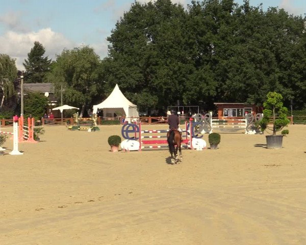 Equus Colonius - Reitanlage Brüse Köln 2021
