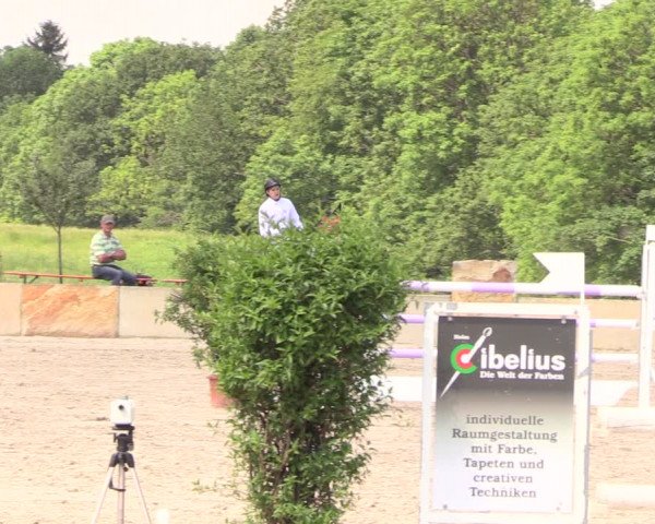 Reitturnier Oberfrauendorf 2018