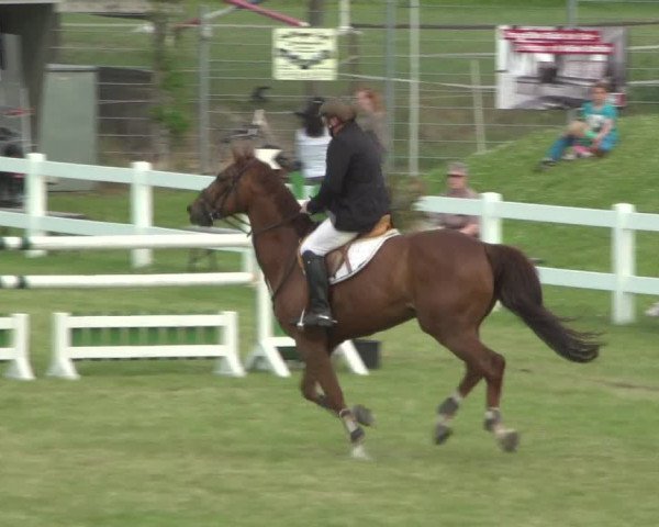 Reitturnier Düren - An der Kuhbrücke 2018