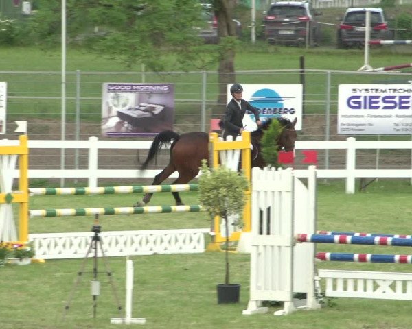 Reitturnier Düren - An der Kuhbrücke 2018