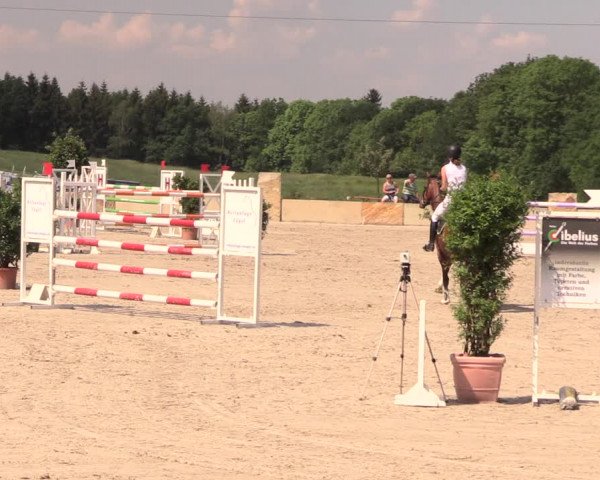 Reitturnier Oberfrauendorf 2018
