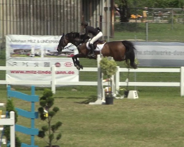Reitturnier Düren - An der Kuhbrücke 2018