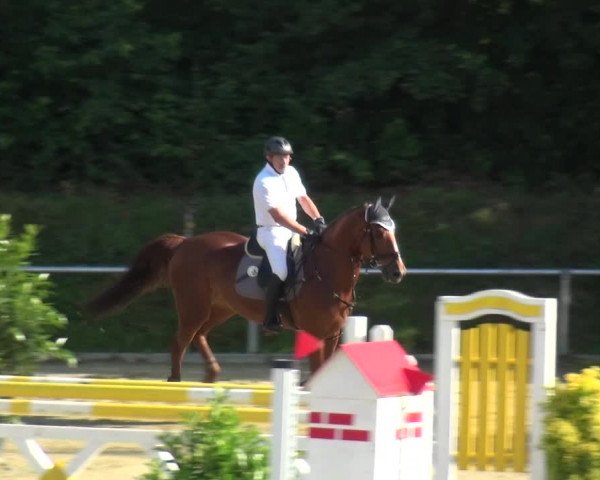 Reitturnier Ladenburg 2018