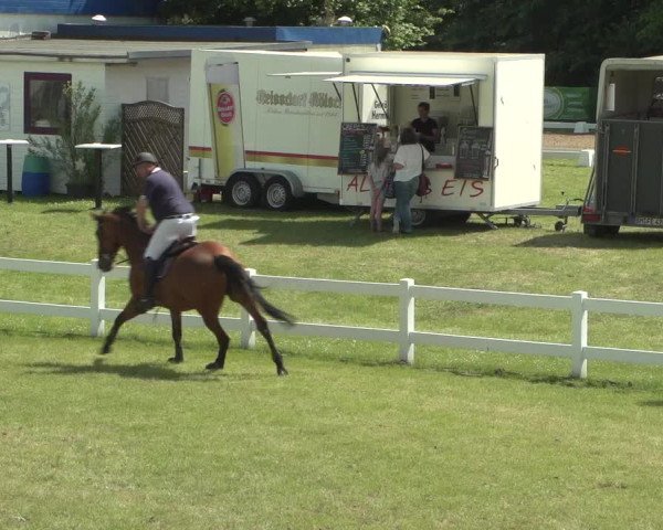 Reitturnier Düren - An der Kuhbrücke 2018