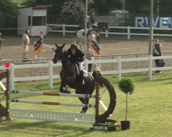 Reitturnier Düren - An der Kuhbrücke 2018