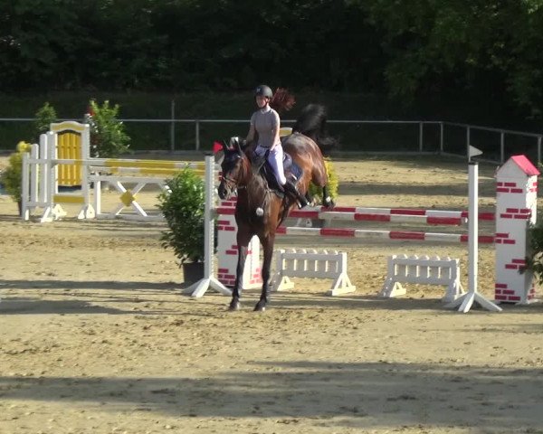 Reitturnier Ladenburg 2018