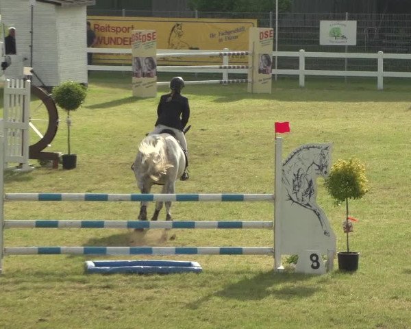 Reitturnier Düren - An der Kuhbrücke 2018