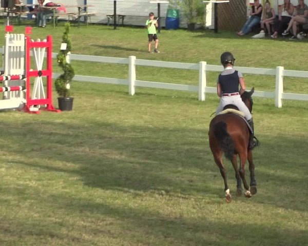 Reitturnier Düren - An der Kuhbrücke 2018