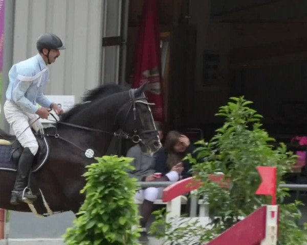 Reitturnier Bad Schussenried 2018