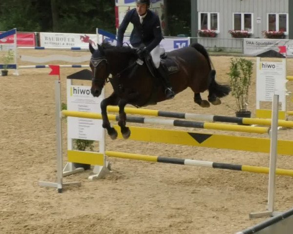 Reitturnier Bad Schussenried 2018