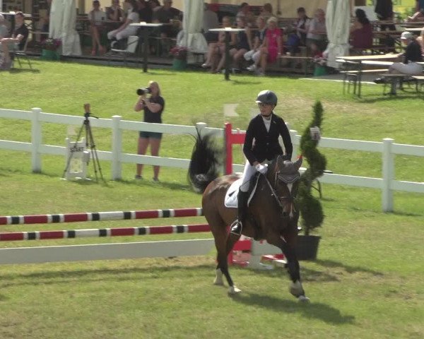 Reitturnier Düren - An der Kuhbrücke 2018