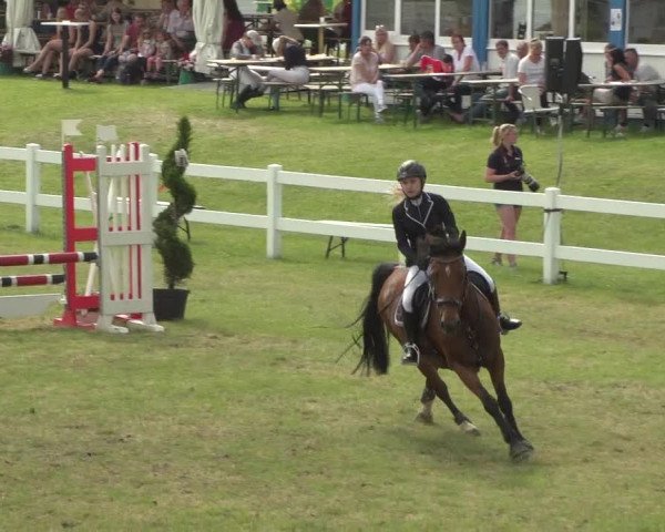 Reitturnier Düren - An der Kuhbrücke 2018