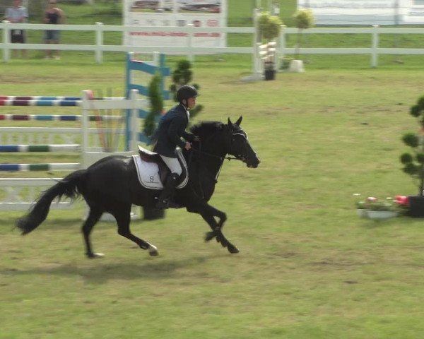 Reitturnier Düren - An der Kuhbrücke 2018