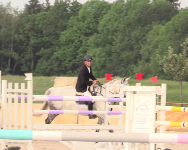 Reitturnier Oberfrauendorf 2018