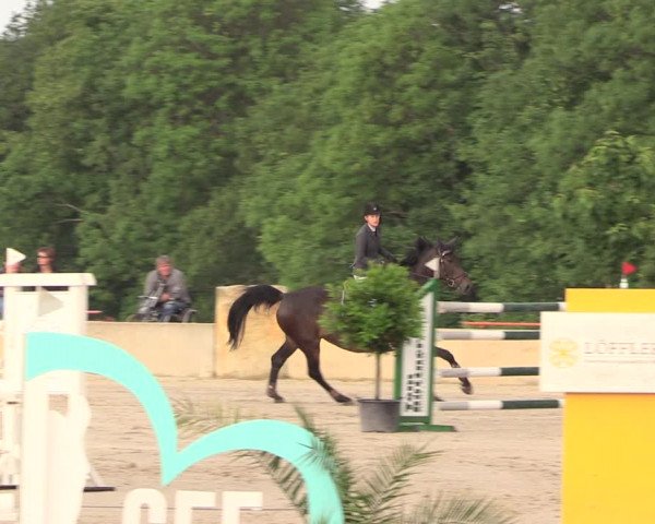 Reitturnier Oberfrauendorf 2018