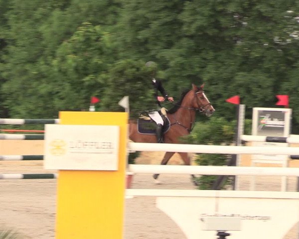Reitturnier Oberfrauendorf 2018