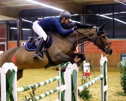 jumper La Scada (Hanoverian, 2006, from Laptop)
