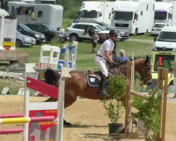 Reitturnier Bad Schussenried 2018