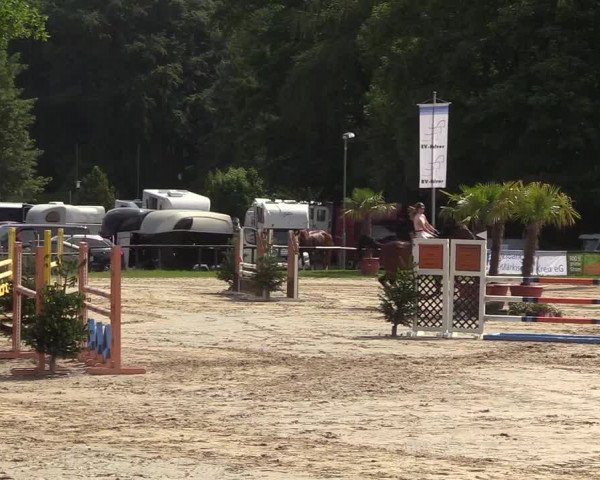 Reitturnier Halver 2018