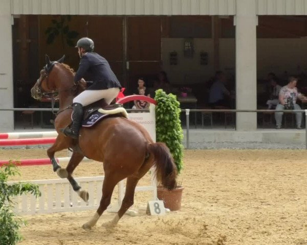 Reitturnier Bad Schussenried 2018