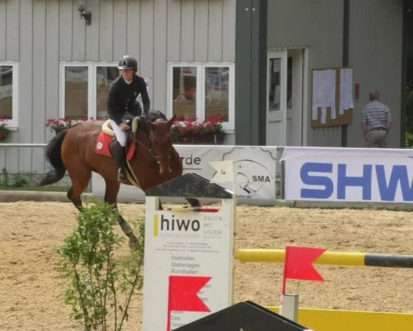 Reitturnier Bad Schussenried 2018