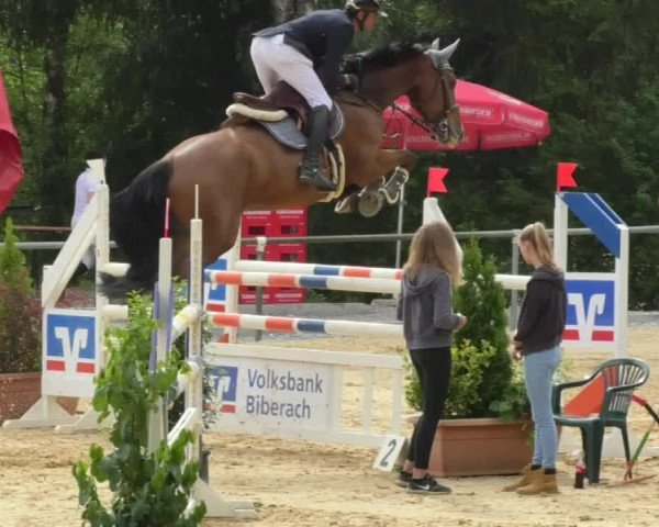 Reitturnier Bad Schussenried 2018