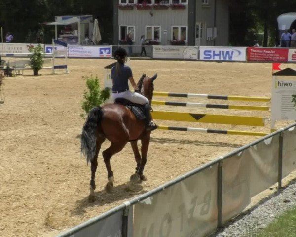 Reitturnier Bad Schussenried 2018