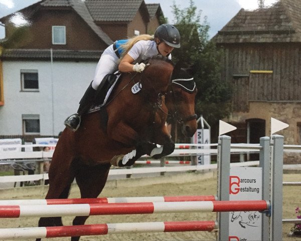 jumper Vesna Green (Hanoverian, 2011, from Vulkano FRH)