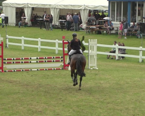 Reitturnier Düren - An der Kuhbrücke 2018