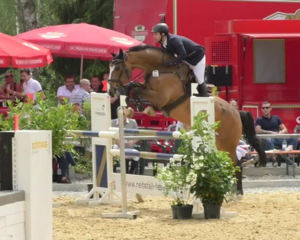 Reitturnier Bad Schussenried 2018