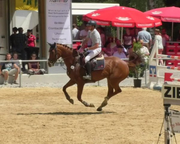 Reitturnier Bad Schussenried 2018