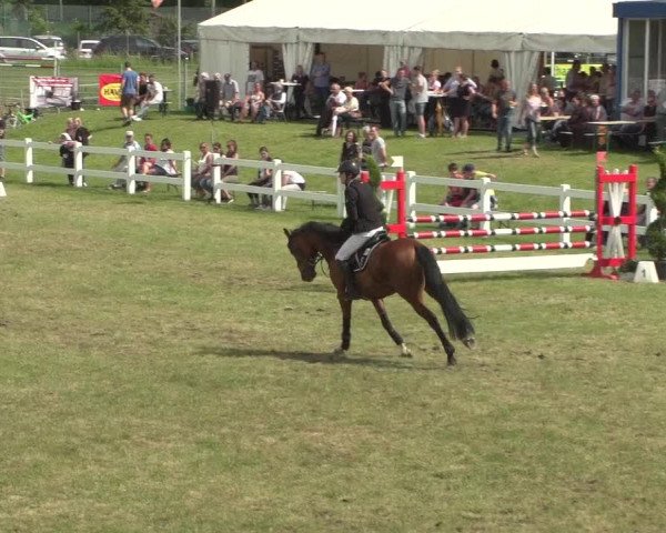 Reitturnier Düren - An der Kuhbrücke 2018