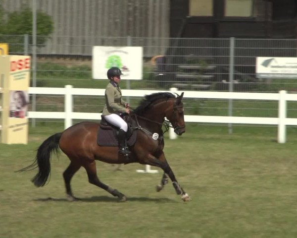 Reitturnier Düren - An der Kuhbrücke 2018