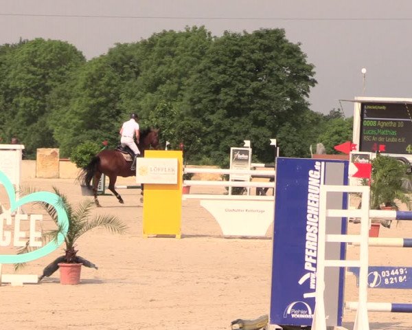 Reitturnier Oberfrauendorf 2018