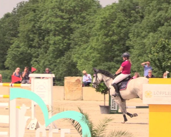 Reitturnier Oberfrauendorf 2018