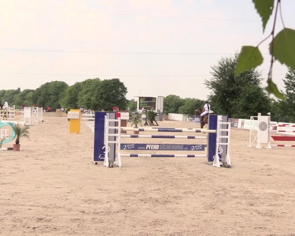 Reitturnier Oberfrauendorf 2018