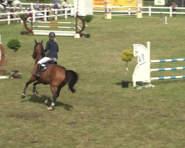 Reitturnier Düren - An der Kuhbrücke 2018