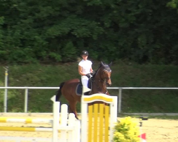 Reitturnier Ladenburg 2018