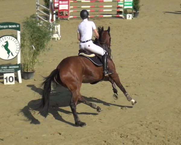 Reitturnier Ladenburg 2018