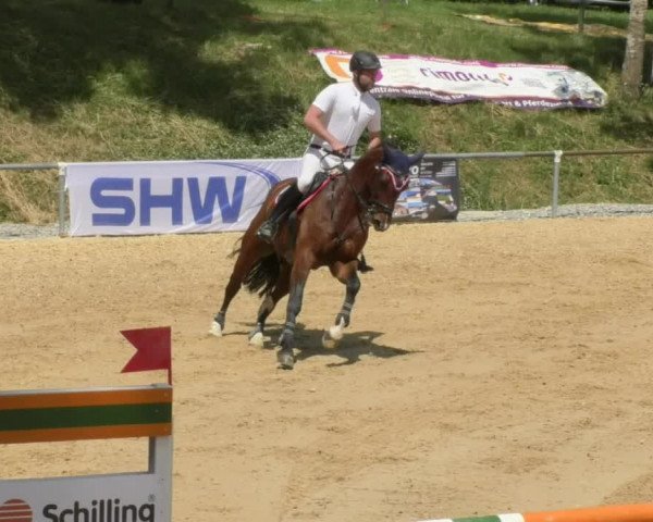 Reitturnier Bad Schussenried 2018