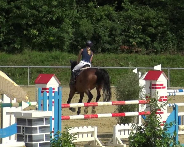 Reitturnier Ladenburg 2018