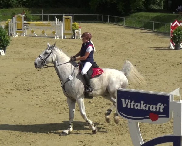Reitturnier Ladenburg 2018